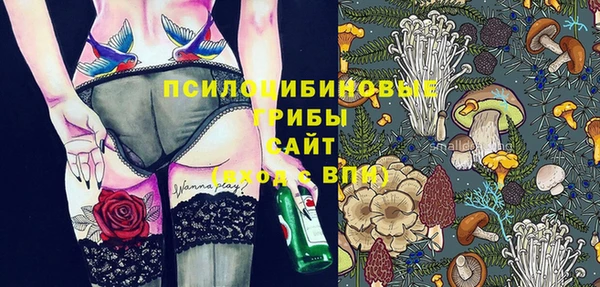 PSILOCYBIN Володарск