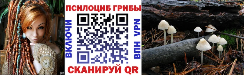 где купить   Воронеж  Псилоцибиновые грибы MAGIC MUSHROOMS 